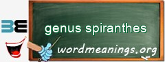 WordMeaning blackboard for genus spiranthes